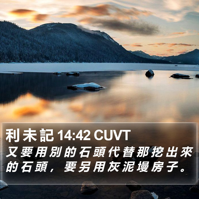 利 未 記 14:42 CUVT Bible Study