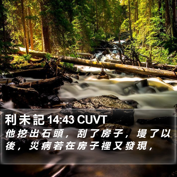 利 未 記 14:43 CUVT Bible Study