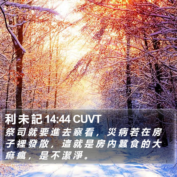 利 未 記 14:44 CUVT Bible Study