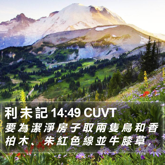 利 未 記 14:49 CUVT Bible Study