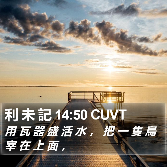 利 未 記 14:50 CUVT Bible Study