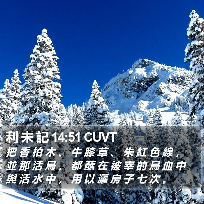 利 未 記 14:51 CUVT Bible Study