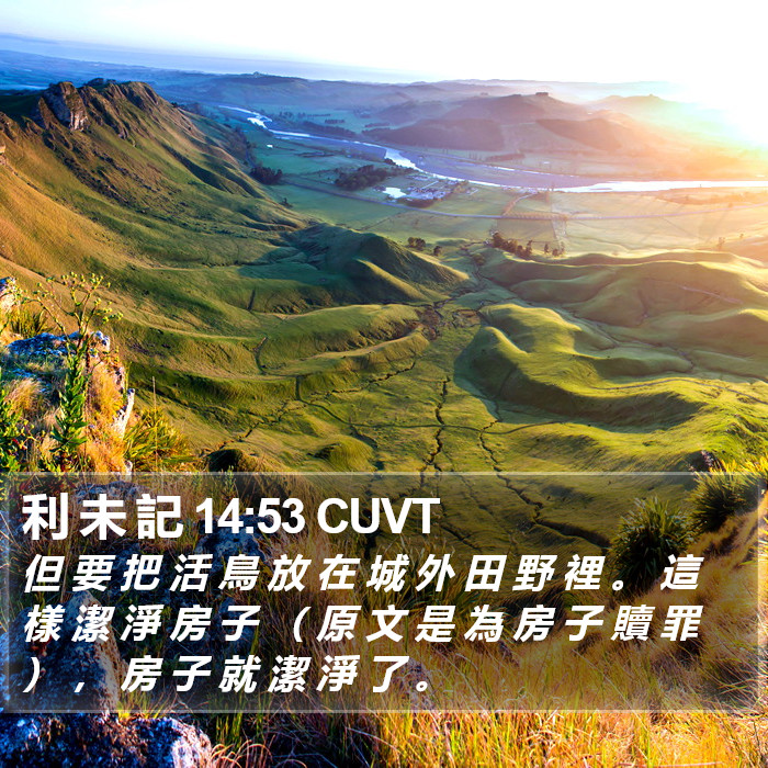 利 未 記 14:53 CUVT Bible Study