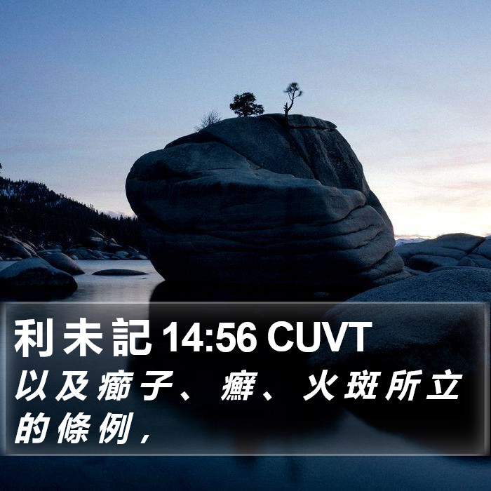 利 未 記 14:56 CUVT Bible Study