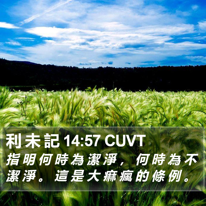 利 未 記 14:57 CUVT Bible Study