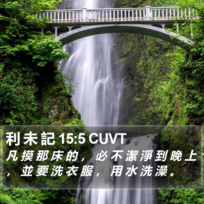 利 未 記 15:5 CUVT Bible Study