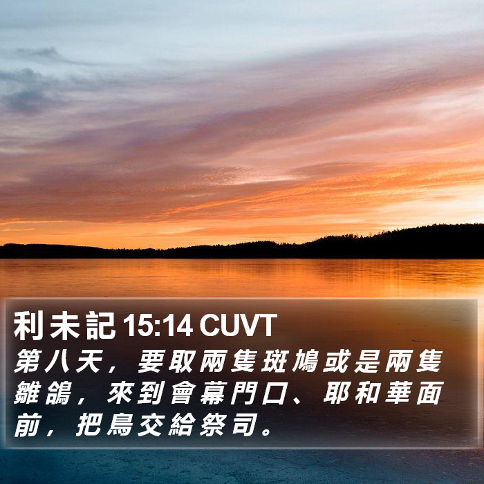 利 未 記 15:14 CUVT Bible Study