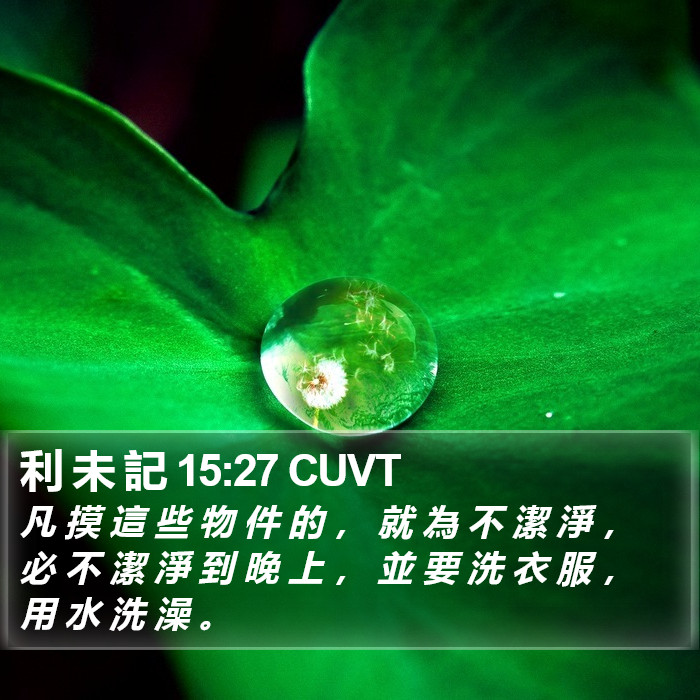 利 未 記 15:27 CUVT Bible Study