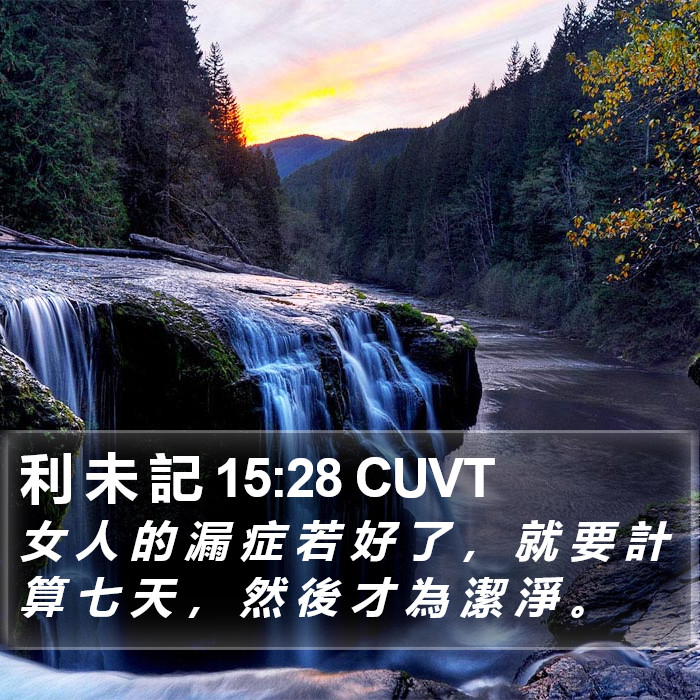 利 未 記 15:28 CUVT Bible Study