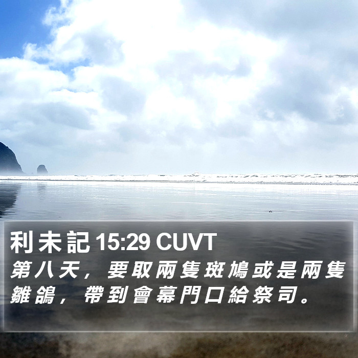 利 未 記 15:29 CUVT Bible Study