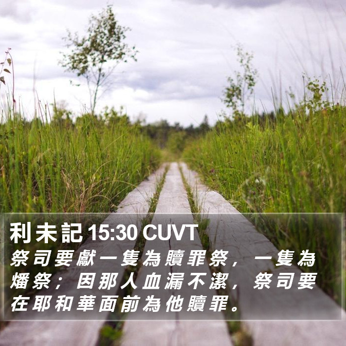利 未 記 15:30 CUVT Bible Study