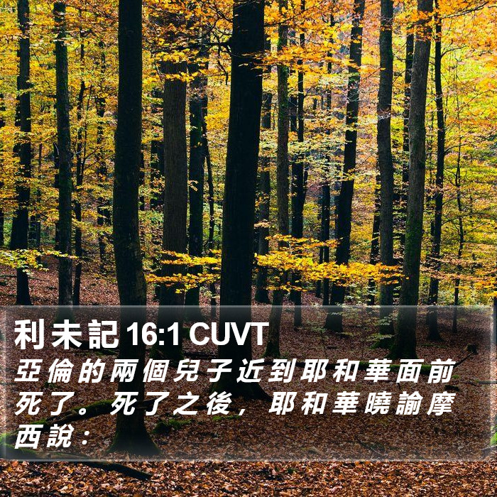 利 未 記 16:1 CUVT Bible Study