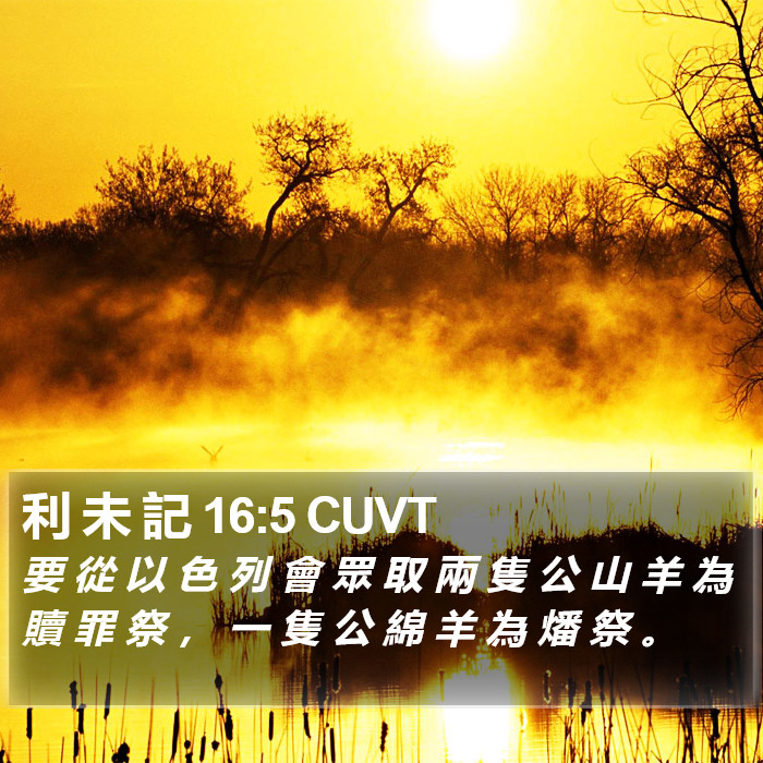 利 未 記 16:5 CUVT Bible Study