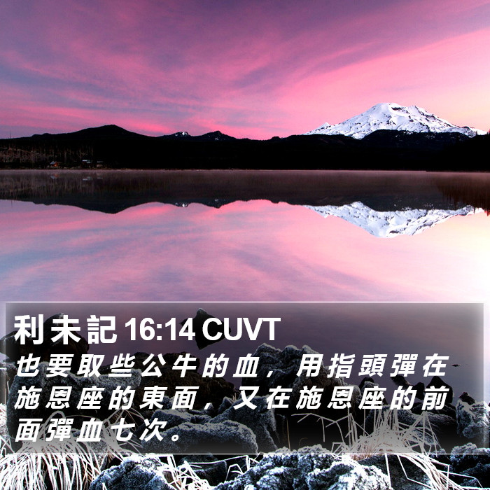 利 未 記 16:14 CUVT Bible Study