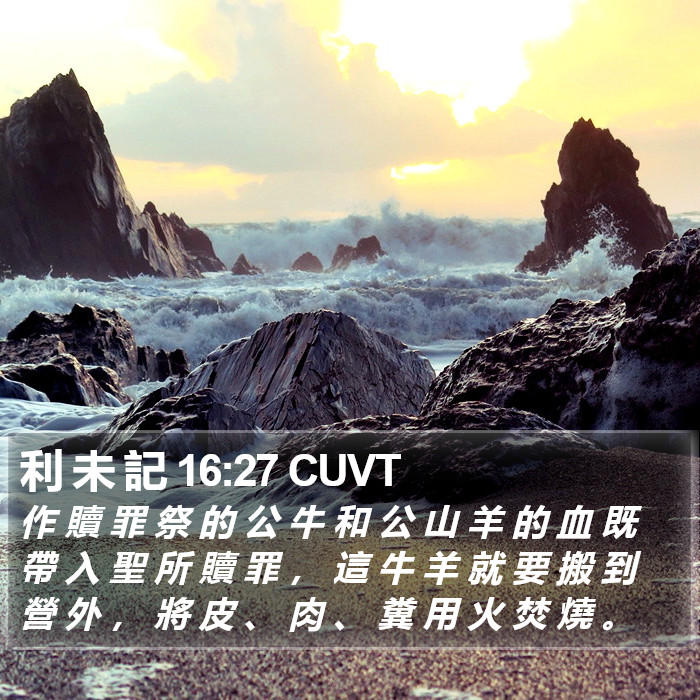 利 未 記 16:27 CUVT Bible Study