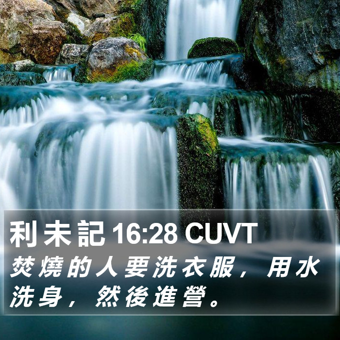 利 未 記 16:28 CUVT Bible Study