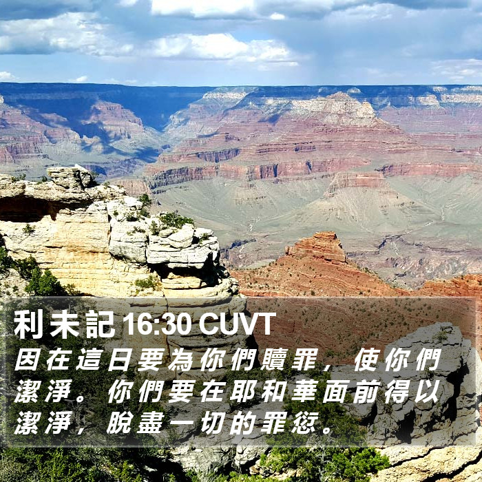 利 未 記 16:30 CUVT Bible Study
