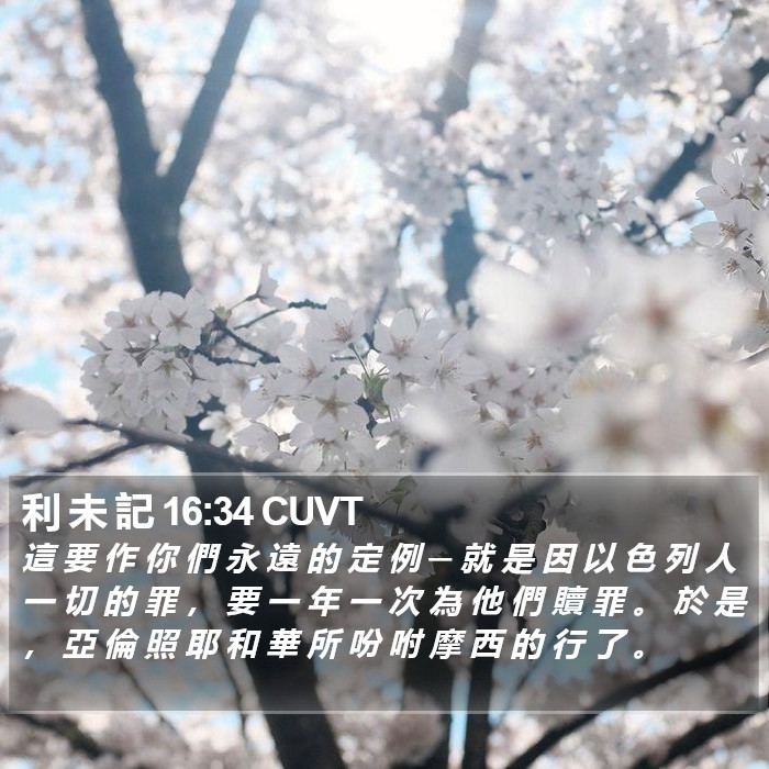 利 未 記 16:34 CUVT Bible Study
