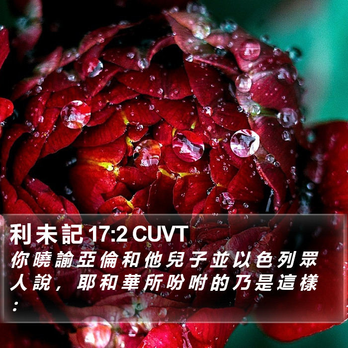利 未 記 17:2 CUVT Bible Study
