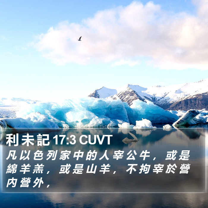 利 未 記 17:3 CUVT Bible Study