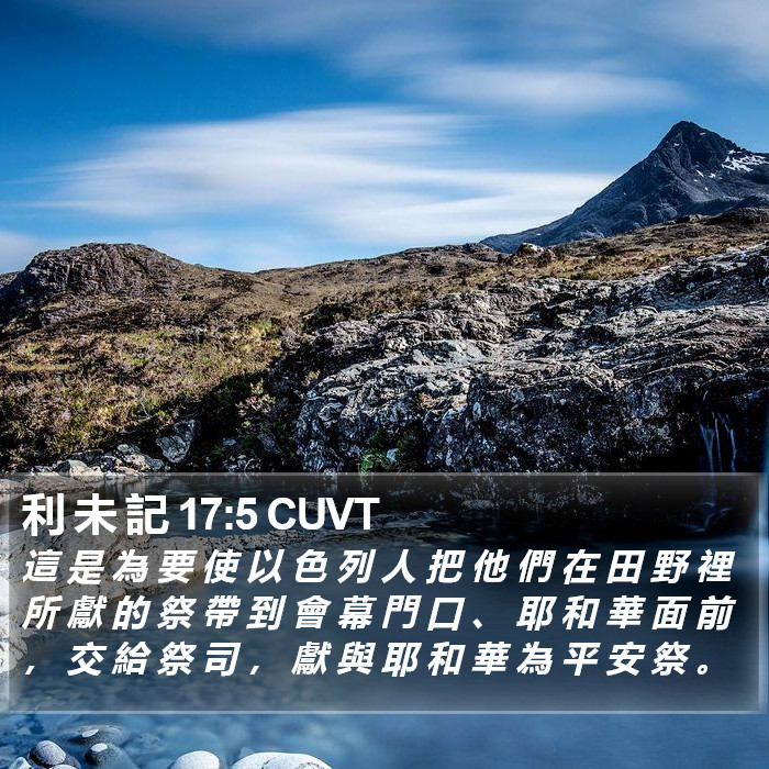 利 未 記 17:5 CUVT Bible Study