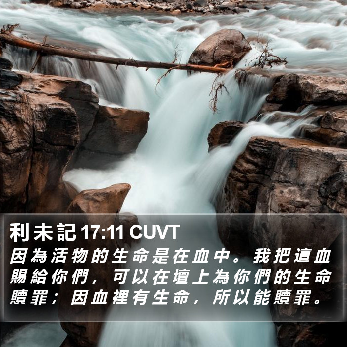 利 未 記 17:11 CUVT Bible Study