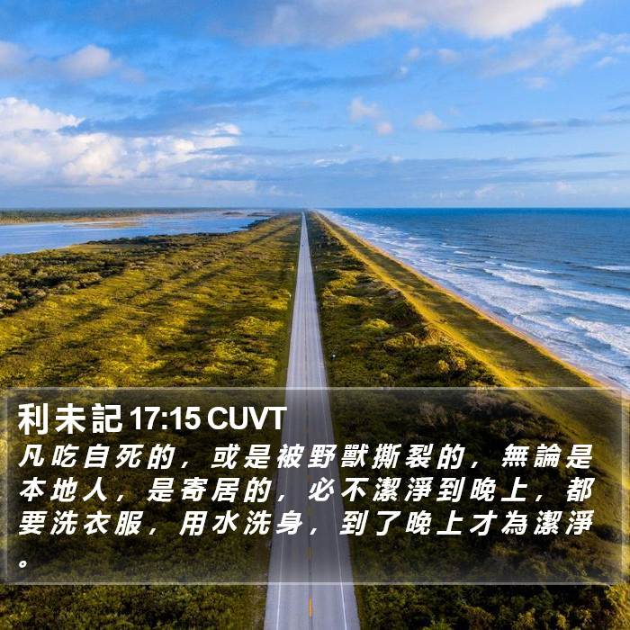 利 未 記 17:15 CUVT Bible Study
