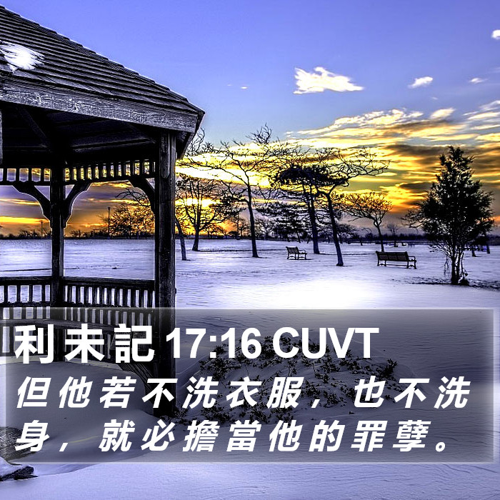 利 未 記 17:16 CUVT Bible Study