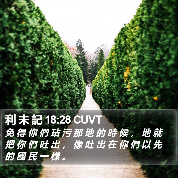 利 未 記 18:28 CUVT Bible Study