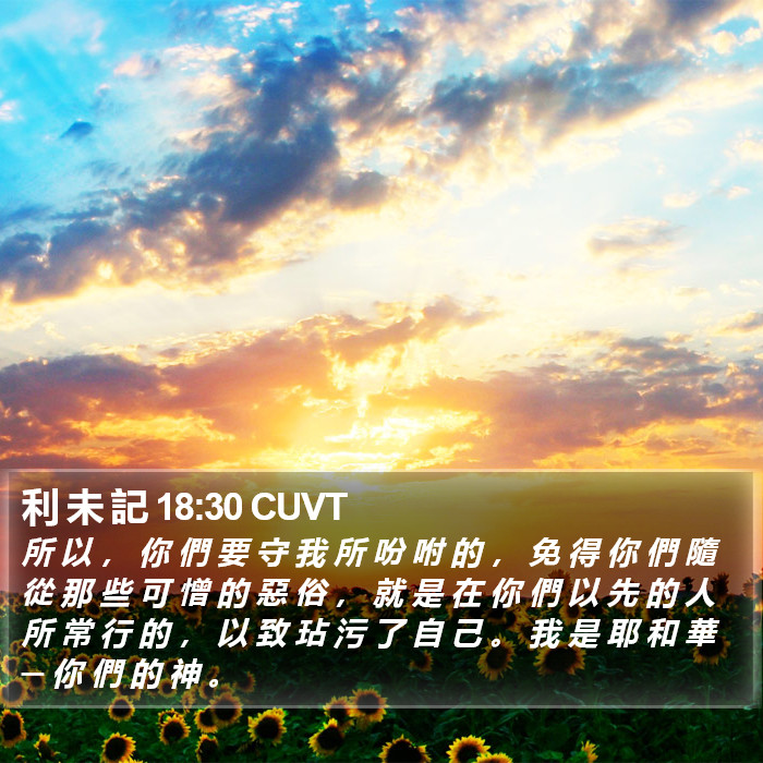 利 未 記 18:30 CUVT Bible Study