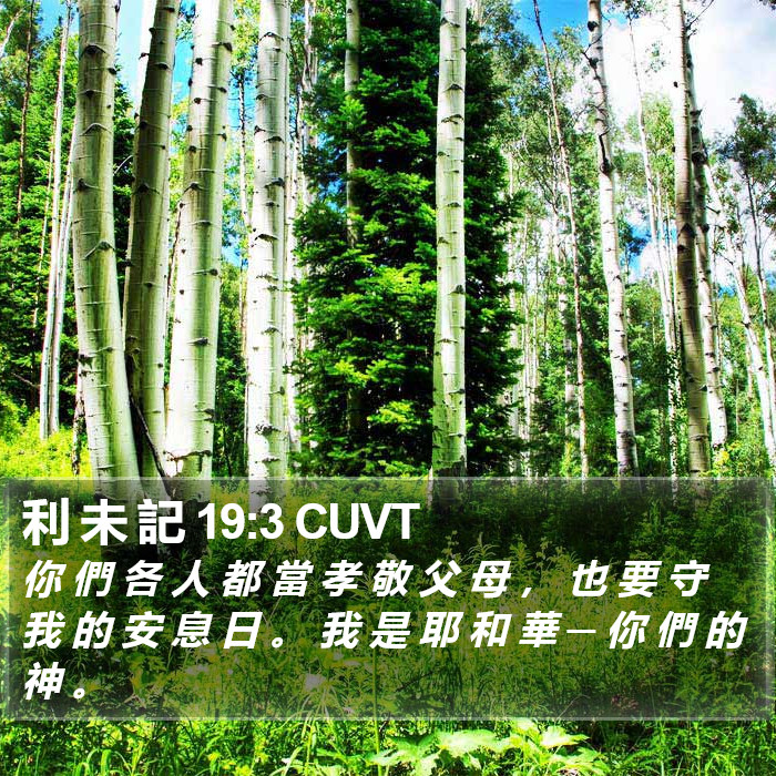 利 未 記 19:3 CUVT Bible Study