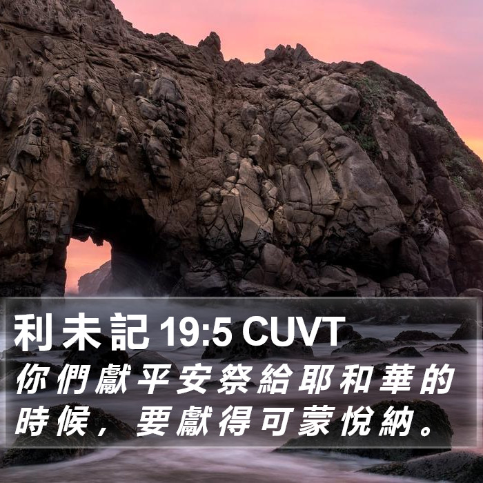 利 未 記 19:5 CUVT Bible Study