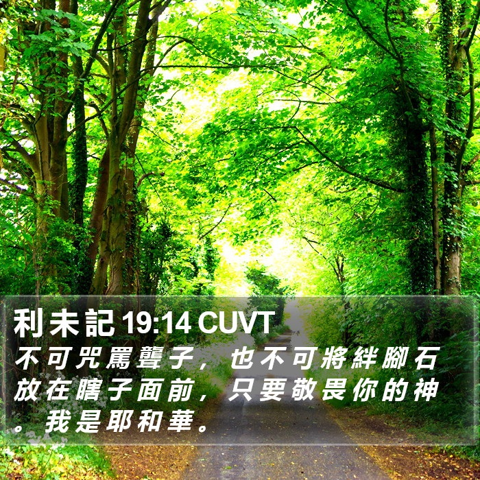 利 未 記 19:14 CUVT Bible Study