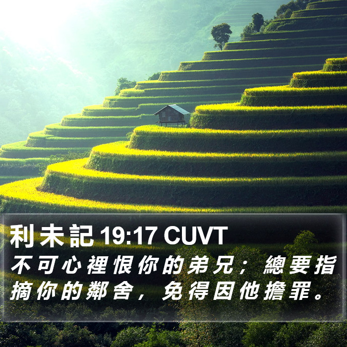 利 未 記 19:17 CUVT Bible Study