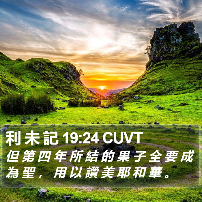 利 未 記 19:24 CUVT Bible Study