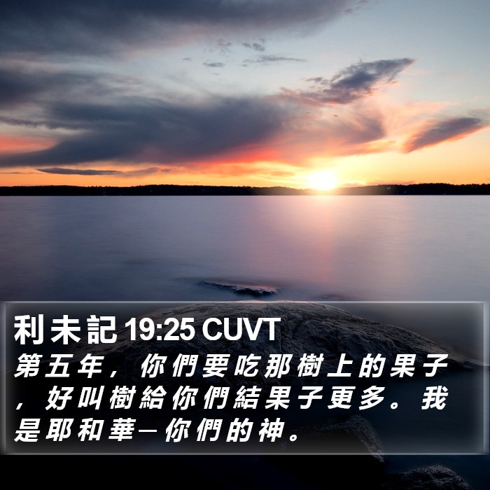 利 未 記 19:25 CUVT Bible Study