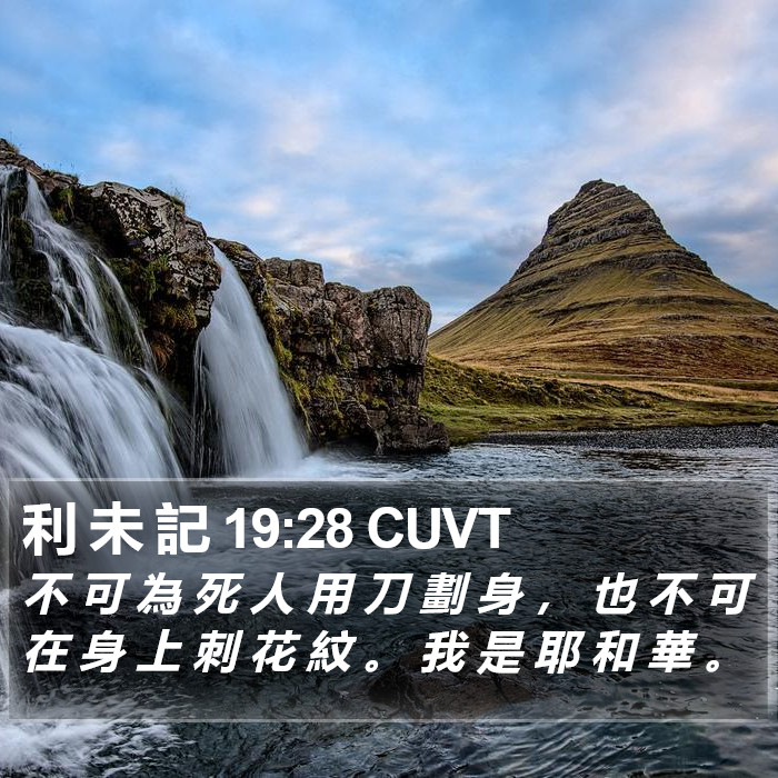 利 未 記 19:28 CUVT Bible Study