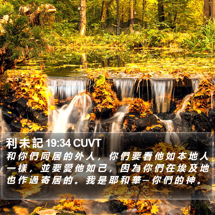 利 未 記 19:34 CUVT Bible Study