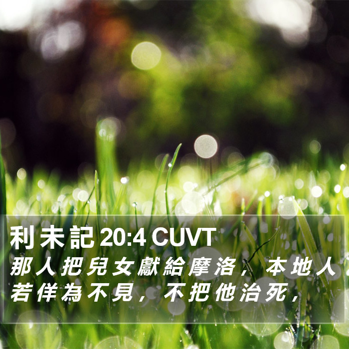 利 未 記 20:4 CUVT Bible Study