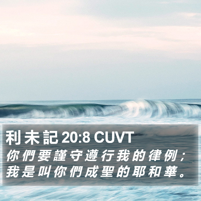 利 未 記 20:8 CUVT Bible Study