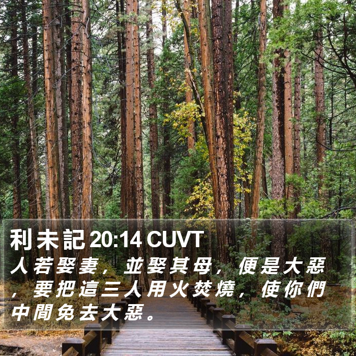 利 未 記 20:14 CUVT Bible Study