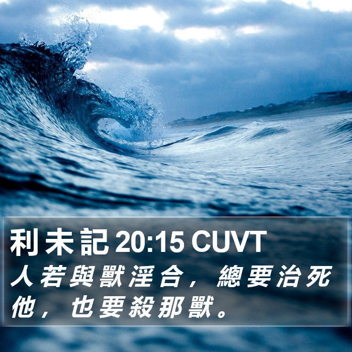 利 未 記 20:15 CUVT Bible Study