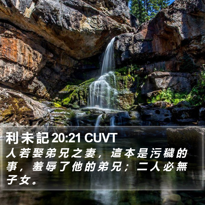 利 未 記 20:21 CUVT Bible Study