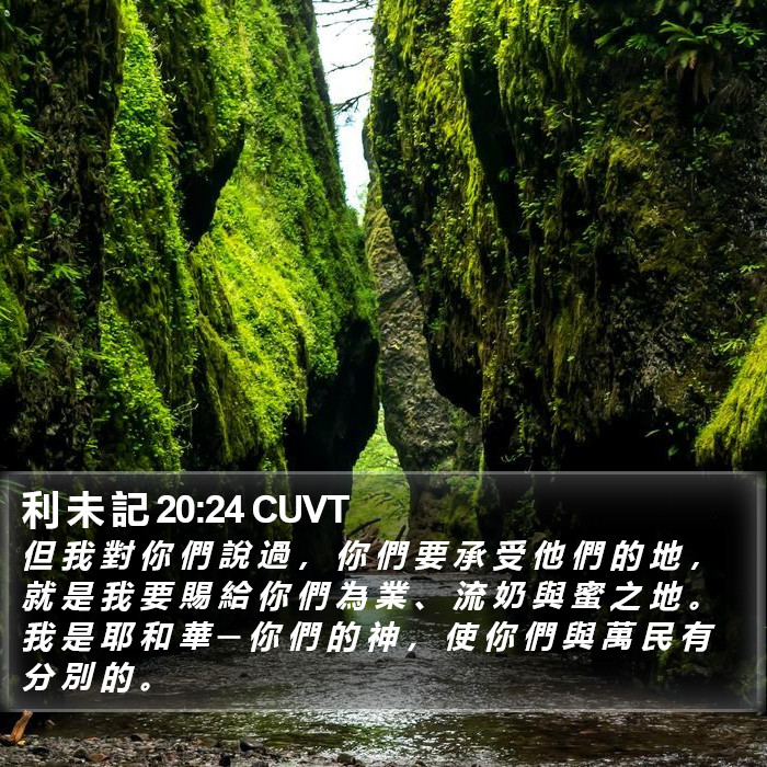 利 未 記 20:24 CUVT Bible Study