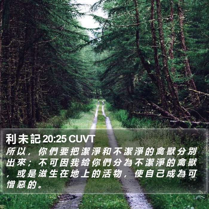 利 未 記 20:25 CUVT Bible Study