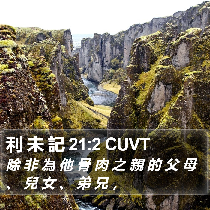利 未 記 21:2 CUVT Bible Study