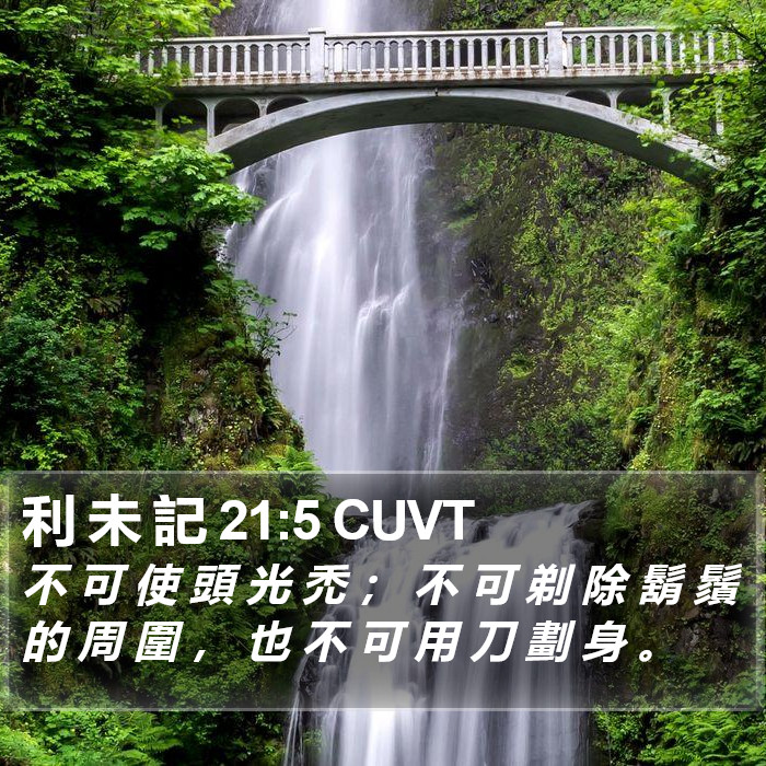 利 未 記 21:5 CUVT Bible Study