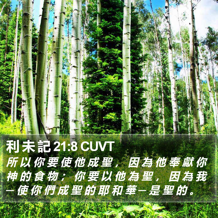 利 未 記 21:8 CUVT Bible Study