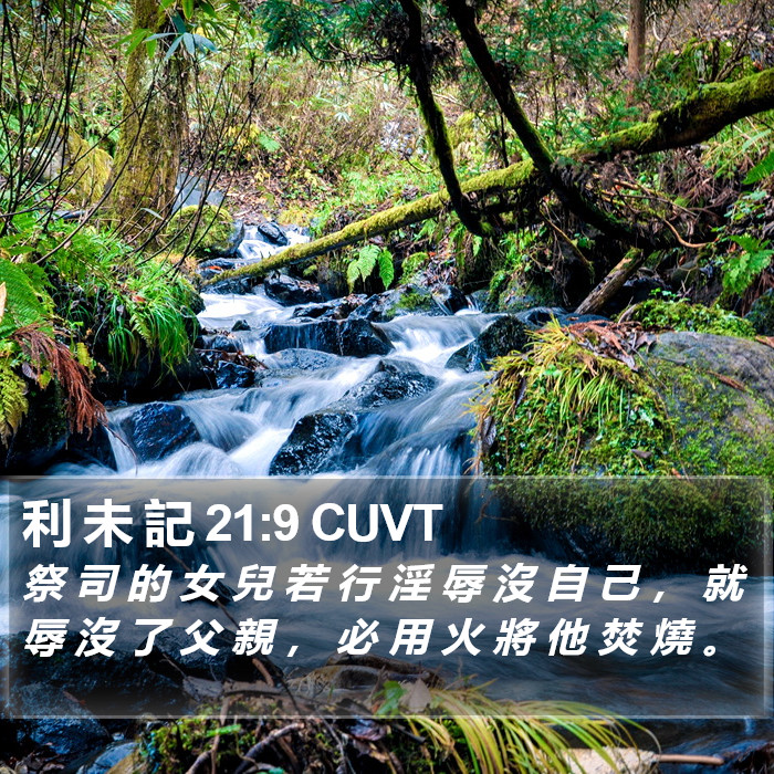 利 未 記 21:9 CUVT Bible Study