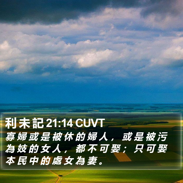 利 未 記 21:14 CUVT Bible Study